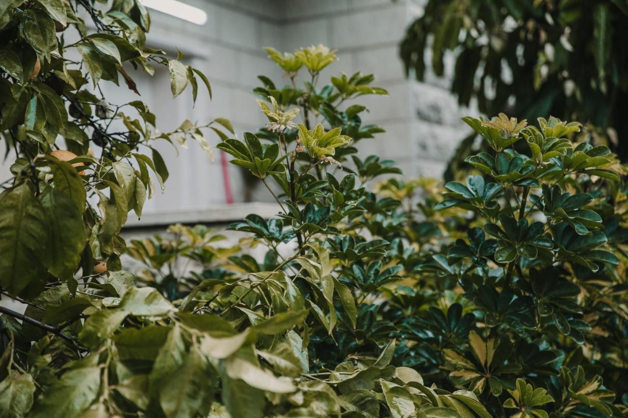 The Garden Apartment Nazareth Bagian luar foto